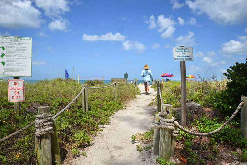 A man walks towards the beach along a path lined with green vegetation.