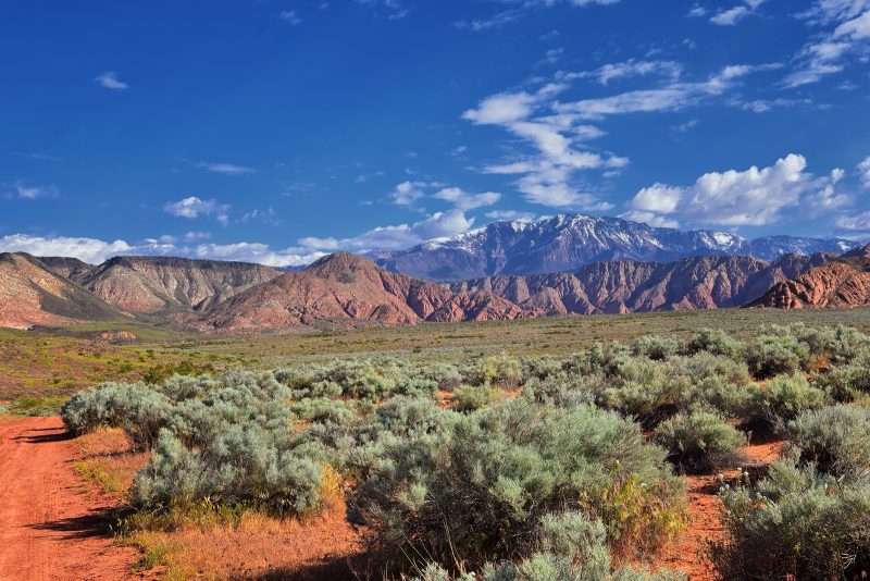 A landscape photo of Red Mountain Wilderness and Snow Canyon State Park taken from the Millcreek Trail and Washington Hollow by St. George, Utah. The sky is bright blue in contrast to the red desert earth. The foreground is lush with desert plants in full spring bloom. Rugged brown-gray mountains are visible in the background and farther away a snow covered mountain peak kisses the white clouds in the sky.