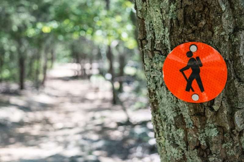 A red trail marker is nailed to a tree on a hiking trail.