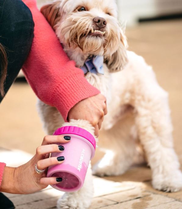 Dog camping accessory #3: Mudbuster paw cleaners feature silicone bristles that gently clean dirty paws.