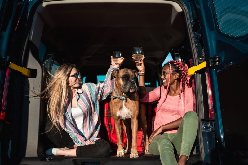 Two young women toast with wine glasses while sitting in the back of a Class B motorhome. A large brown dog stands between them.