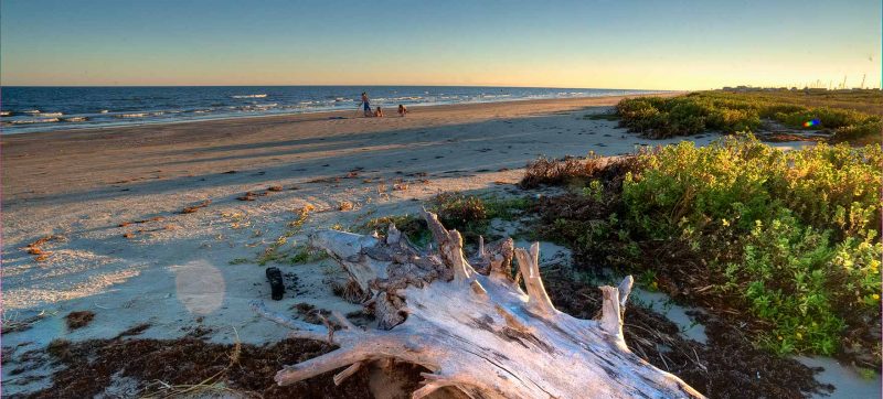 Blue sky, sandy beaches, sun-bleached driftwood and lush green vegetation frame this photo of Galveston Island State Park.