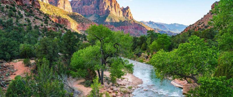 A landscape of the Zion River surrounded by green vegetation. The colors of the mountains in the background are stunning. 