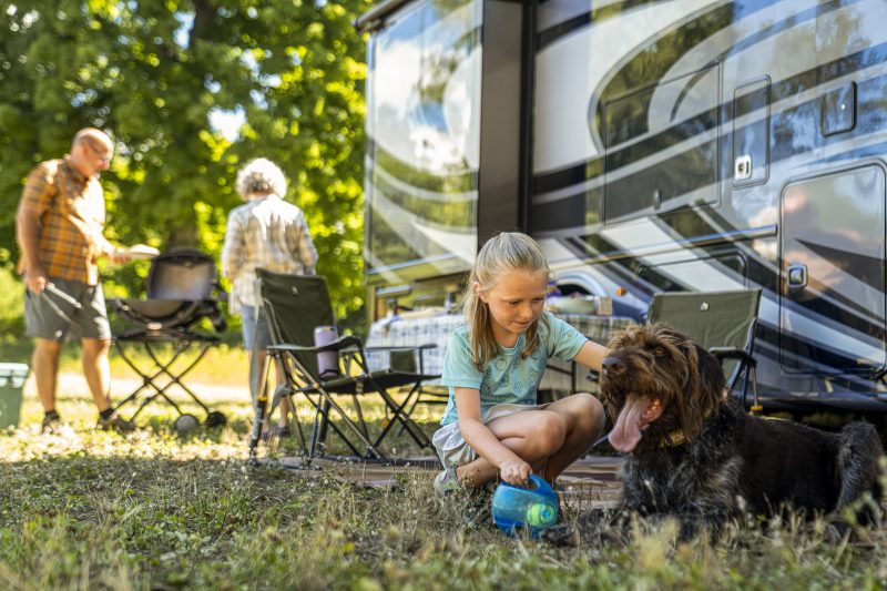 camping with pets stories and photos could win gift card